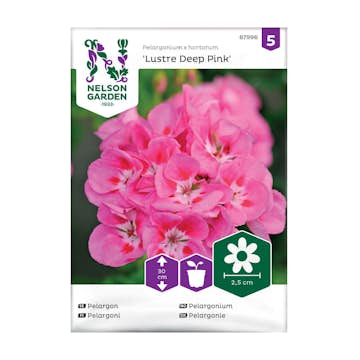 Frö Pelargon Nelson Garden Lustre Deep Pink