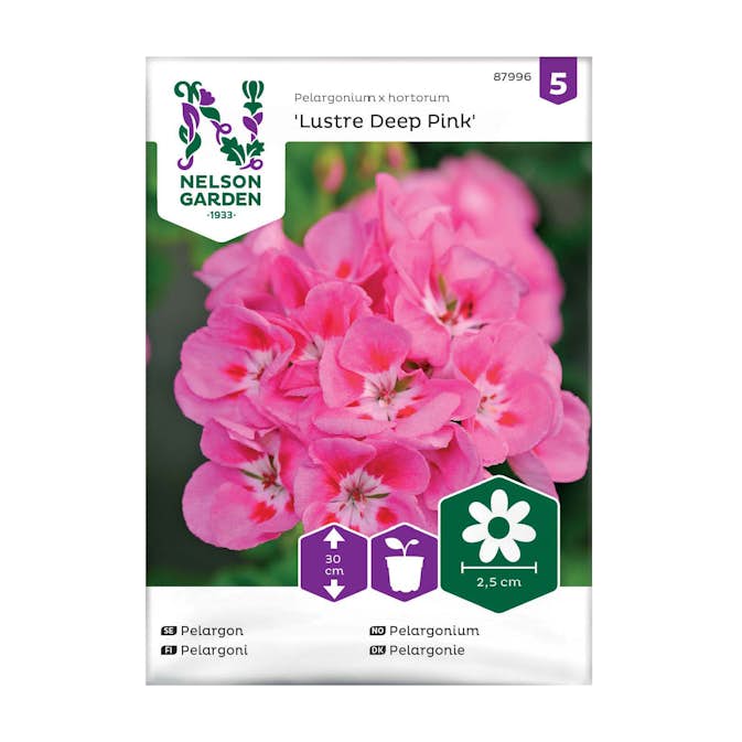 Frö Pelargon Nelson Garden Lustre Deep Pink