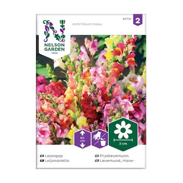 Frö Lejongap Nelson Garden Mix