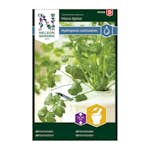 Frö Koriander Nelson Garden Micro Splits