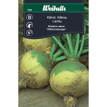 Frö Kål Weibullsrot