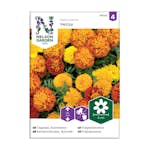 Frö Sammetstagetes Nelson Garden Petite Mix