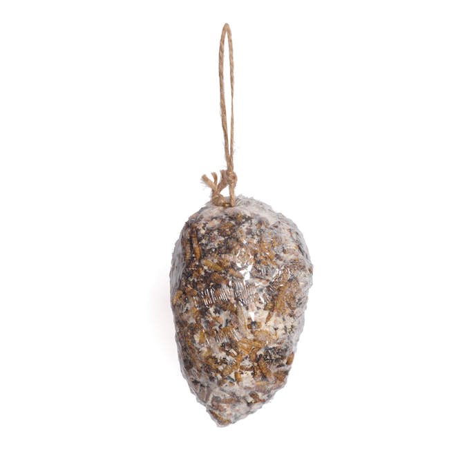 Fågelmat Nelson Garden Kotte Talg med Fluglarver