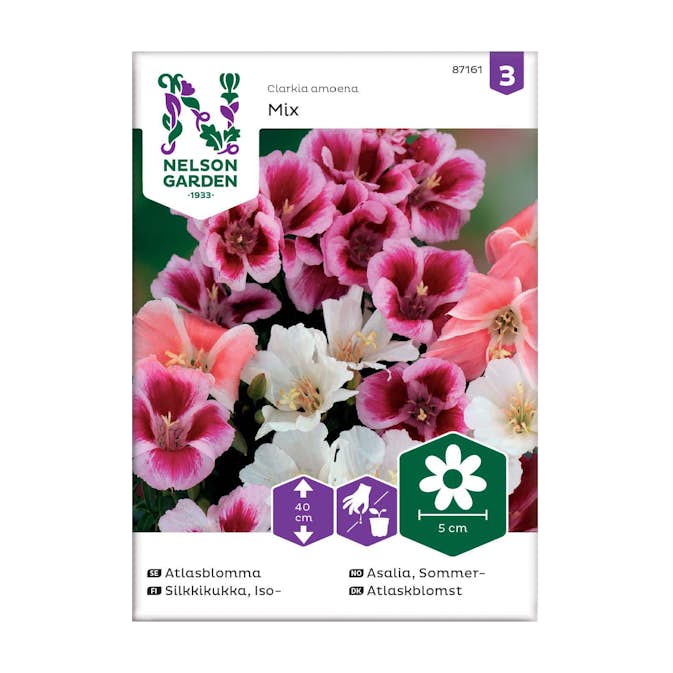 Frö Atlasblomma Nelson Garden Mix