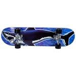 Skateboard Sandbar Shark