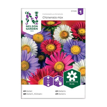 Frö Aster Nelson Garden Enkel Mix