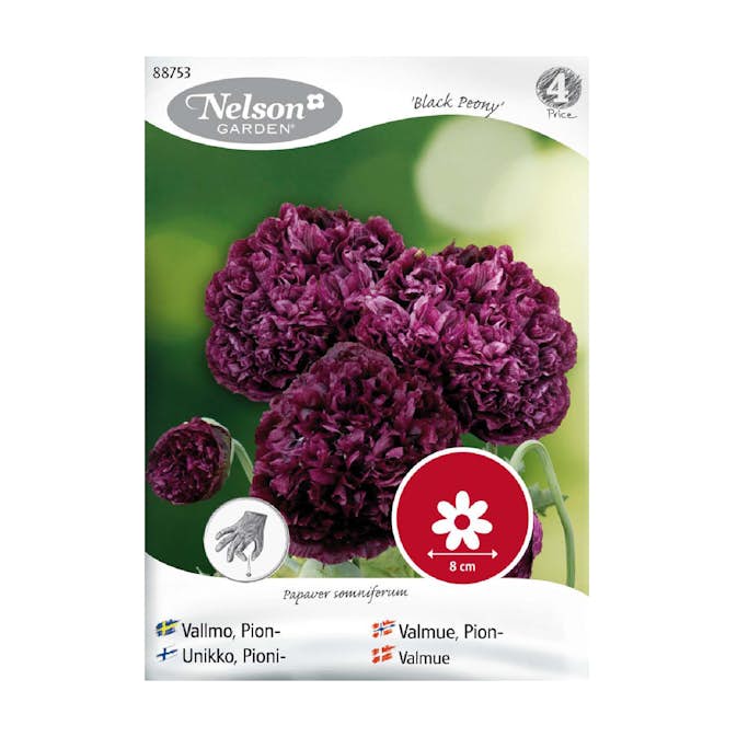 Frö Pionvallmo Nelson Garden Black Peony