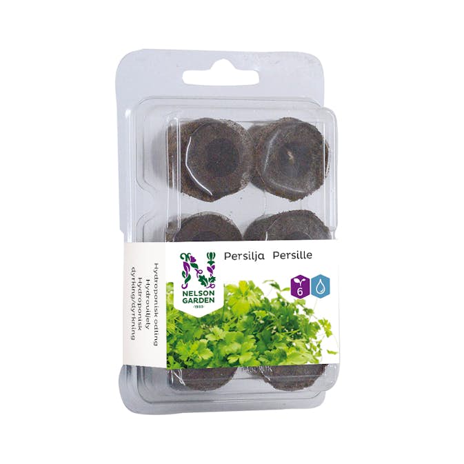 Hydroponisk Fröplugg Nelson Garden Persilja