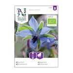 Frö Gurkört Nelson Garden Organic