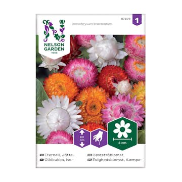 Frö Jätteeternell Nelson Garden Hög Mix