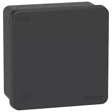 Kopplingsdosa Schneider Electric Mureva Utanpåliggande 2K med Klicklock IP65 utan Anslutningsplint