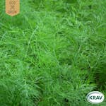 Fröpåse Eco Grow Dill Common