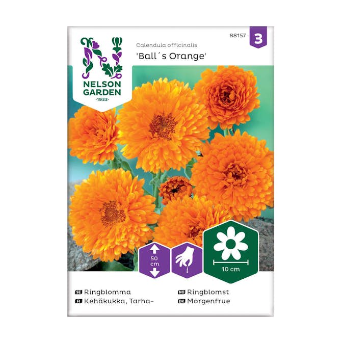 Frö Ringblomma Nelson Garden Ball´s Orange