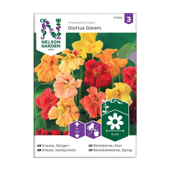 Frö Slingerkrasse Nelson Garden Glorius Gleam Mix