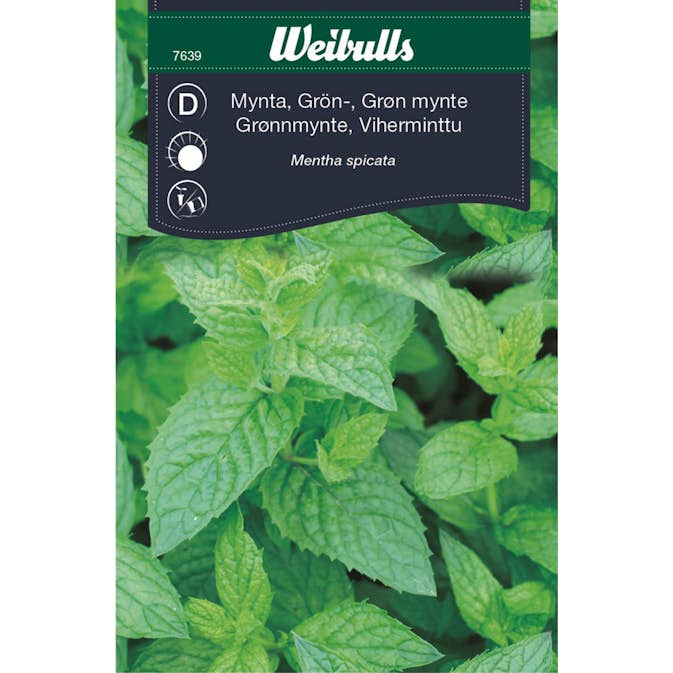 Frö Mynta Weibulls Grönmynta