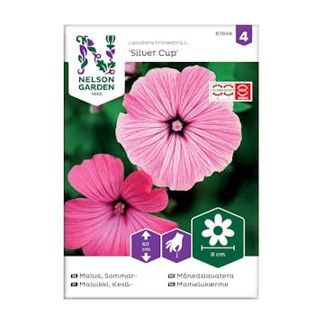 Frö Sommarmalva Nelson Garden Silver Cup Rosa