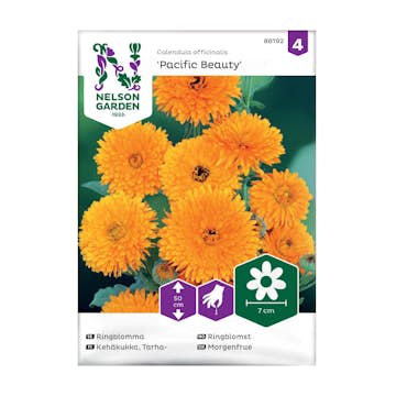 Frö Ringblomma Nelson Garden Pacific Beauty