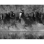 Tapet Galerie Wallcoverings Global Fusion G45278