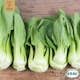 Fröpåse Eco Grow Pak Choi