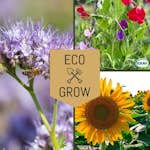 Blomfröer Eco Grow Pollinatörmix - Blommor för Bin