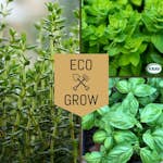 Örtkit Eco Grow Medelhavets Smaker Kryddfröer & Örter