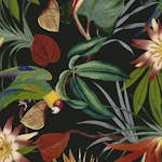 Tapet WOW Papegoja Svart