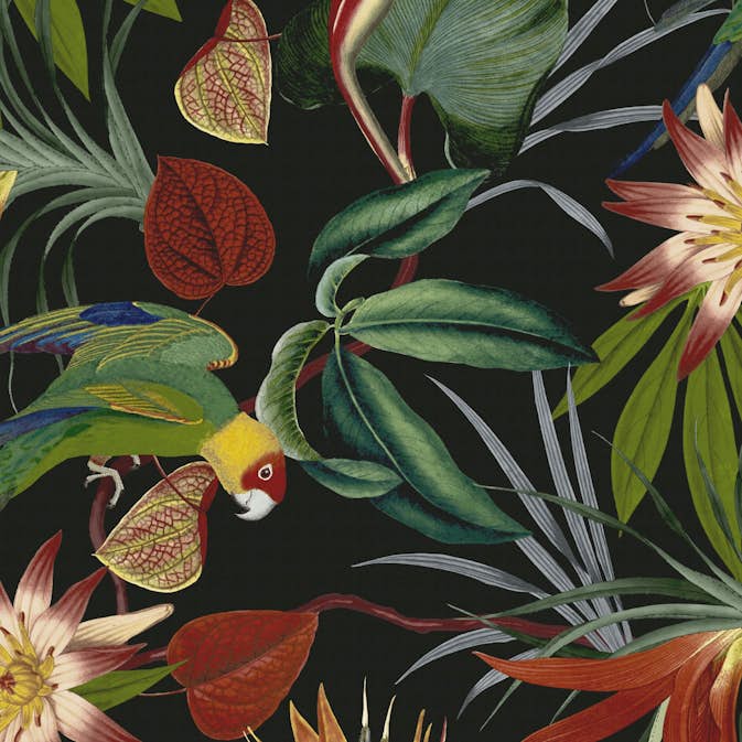 Tapet WOW Papegoja Svart