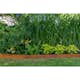 Rabattkant Skotte Garden Corten 4-pack Gräskant, 110 cm