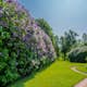 Planta Vanlig Syrén Omnia Garden 20-40cm Krukodlade
