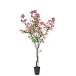 Konstväxt Mr Plant Bougainvillea