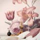 Fototapet Art For The Home Soft Blush Blomma 105401