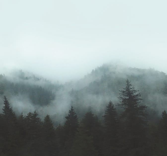 Fototapet Art For The Home Skandinavien 280x300 cm