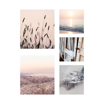 Tavla Art For The Home 5 Delar Zen Rosa