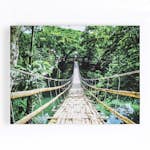 Tavlor Art for the Home Djungelgång Flerfärgad 75x100 cm