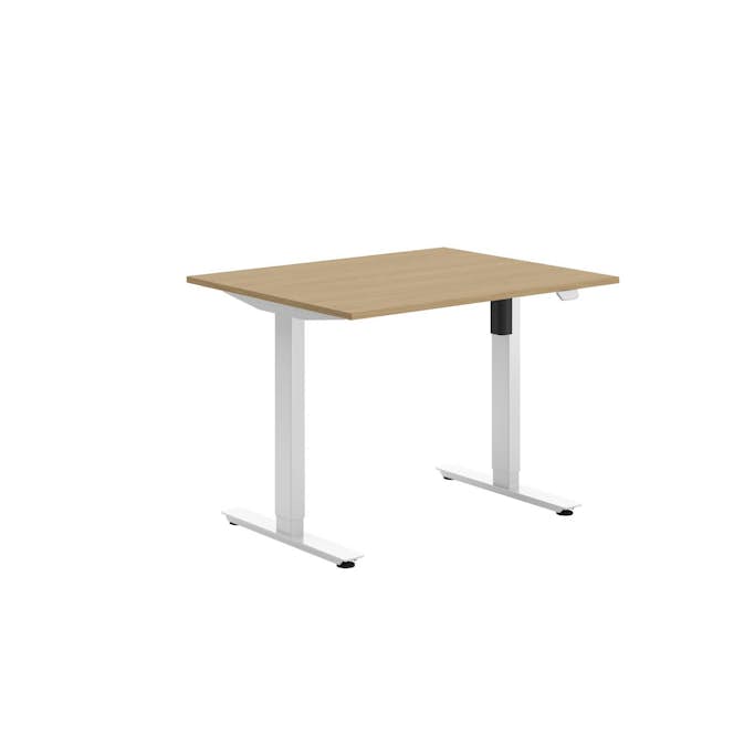 Höj- och Sänkbart Skrivbord Lanab Group Ergofunk 100