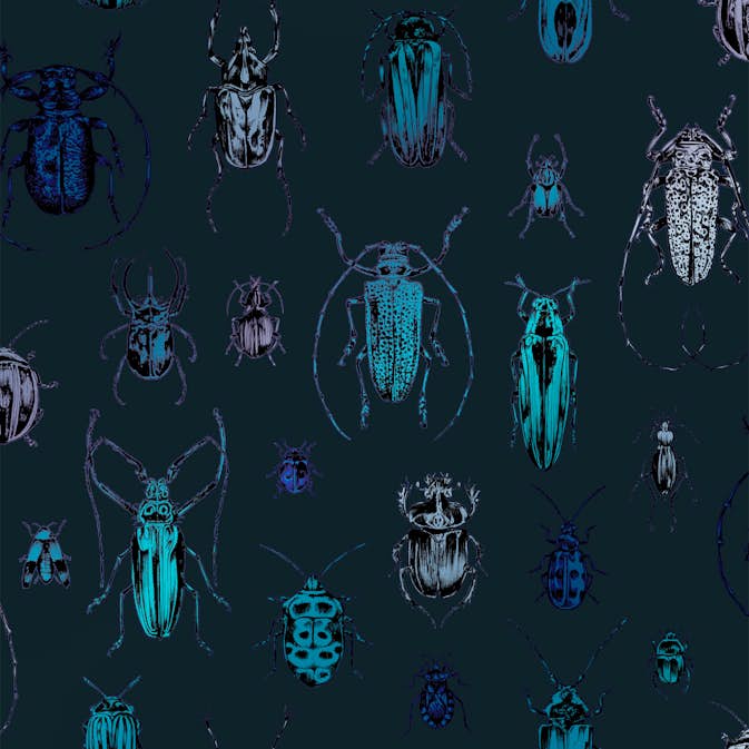 Tapet Superfresco Easy Superfresco Easy Bugs Blå