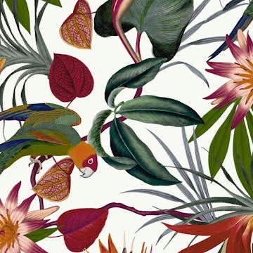 Tapet Superfresco Easy Papegoja Mångfärgad