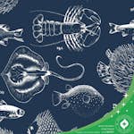 Tapet Contour Into the Deep Blå