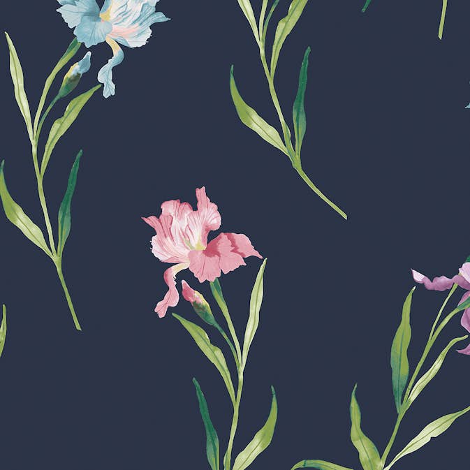 Tapet Laura Ashley Hawling Irises Blå