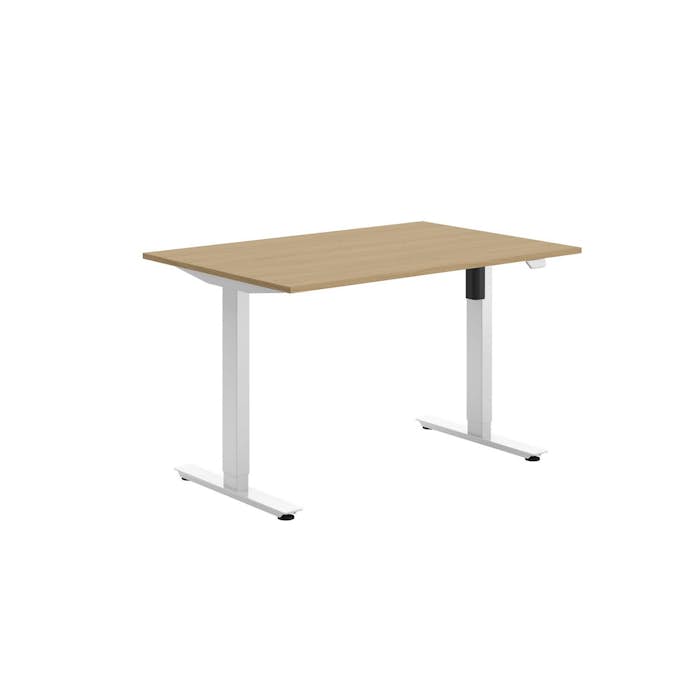 Höj- och Sänkbart Skrivbord Lanab Group Ergofunk 120