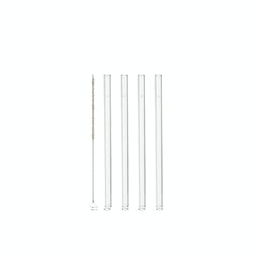 Sugrör Leonardo Glas 4-pack med Borste
