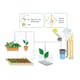 Bevattningspaket Greenline Automatbevattningssystem & Regntunna 200L