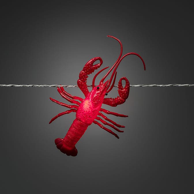 Ljusslinga Gnosjö Konstsmide Kräftor LED med Timer