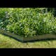 Kantskydd Skotte Garden 26x100 cm 4-pack