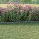 Kantskydd Skotte Garden 26x100 cm 4-pack