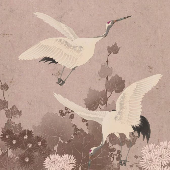 Fototapet ESTAhome Kranfåglar EW158946