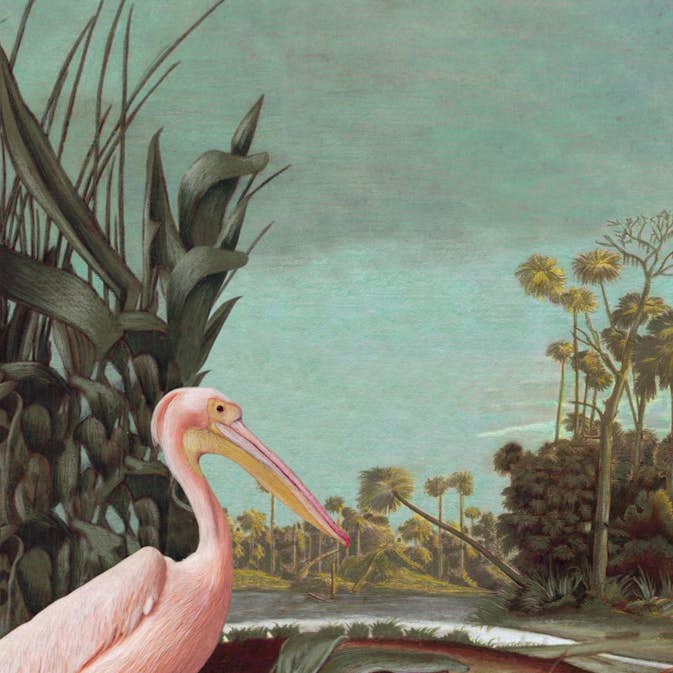 Fototapet ESTAhome Tropiskt Landskap Grå Turkos Brun Mörkgrön/Ljusrosa