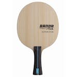 Bordtennisracket Stiga Sports Stomme Banda Allround Future - Master