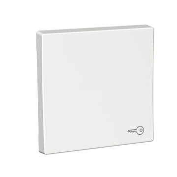 Strömbrytare Schneider Electric Exxact Nyckelsymbol