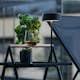 Bordslampa Venture Home Tern